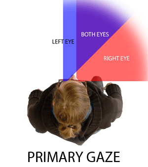 Spotting Prism Field of View Animation